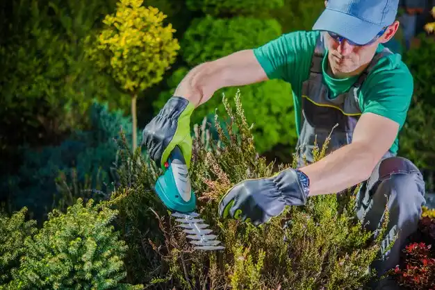 landscaping services Westerville